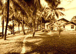 Sepia