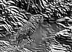 Skamielina