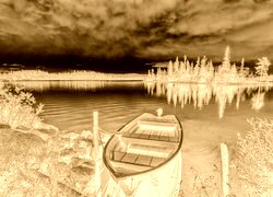 Sepia + Negatyw