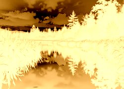 Sepia + Negatyw