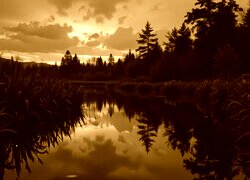 Sepia