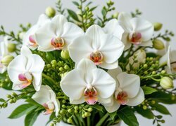 Oryginalny obrazek