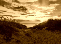 Sepia
