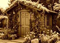 Sepia