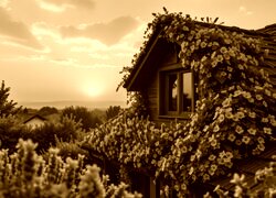 Sepia