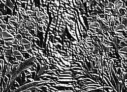 Skamielina