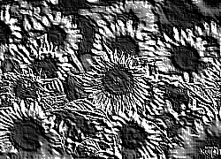 Skamielina