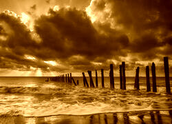 Sepia