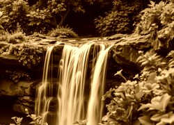Sepia