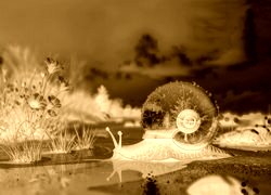 Sepia + Negatyw