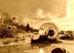 Sepia