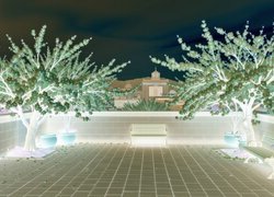 Negatyw