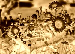Sepia + Negatyw