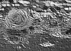 Skamielina