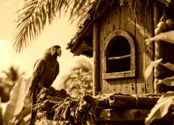 Sepia