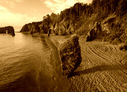 Sepia