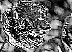 Skamielina