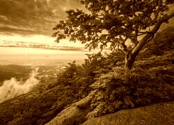 Sepia
