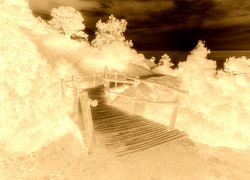 Sepia + Negatyw