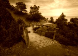 Sepia