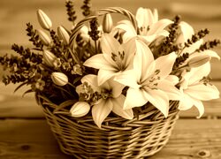 Sepia