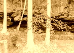 Sepia + Negatyw