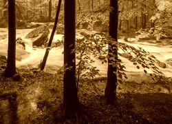 Sepia