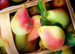 Oryginalny obrazek