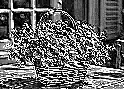 Skamielina