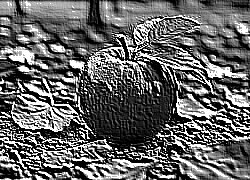 Skamielina