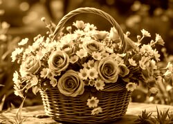 Sepia