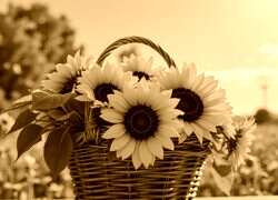 Sepia