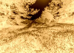 Sepia + Negatyw