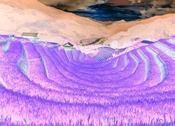 Negatyw