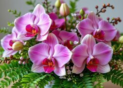 Oryginalny obrazek