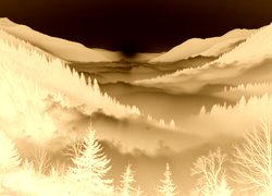 Sepia + Negatyw