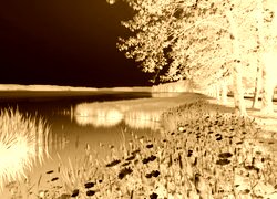 Sepia + Negatyw