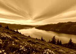 Sepia