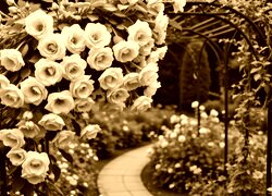 Sepia