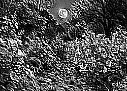 Skamielina