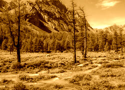 Sepia