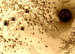 Sepia + Negatyw