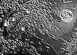Skamielina