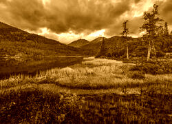 Sepia