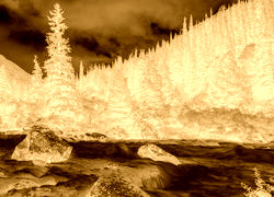 Sepia + Negatyw