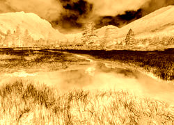 Sepia + Negatyw