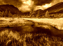 Sepia