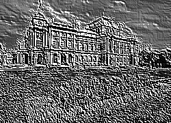 Skamielina