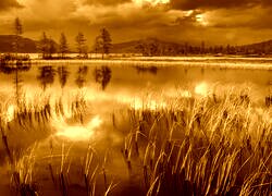 Sepia