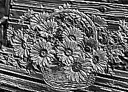 Skamielina